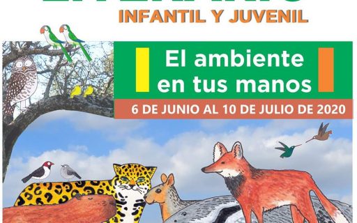 Concurso literario infantil y juvenil “El ambiente en tus manos»